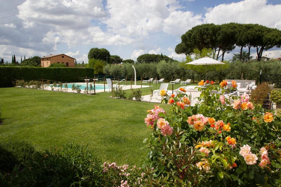 Garden, Swimming pool