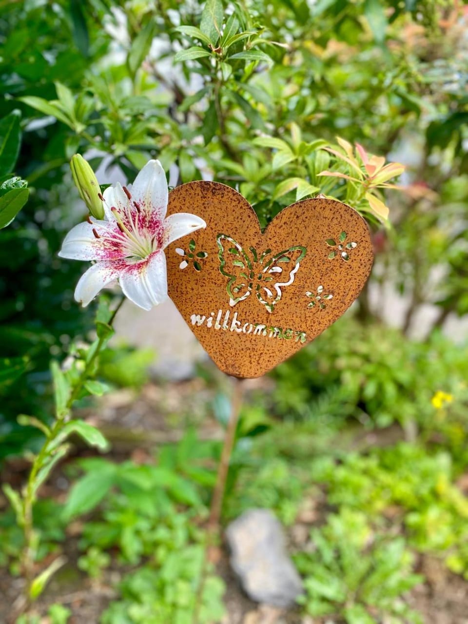 Ferienwohnung-Birlenbach Apartment in Limburg