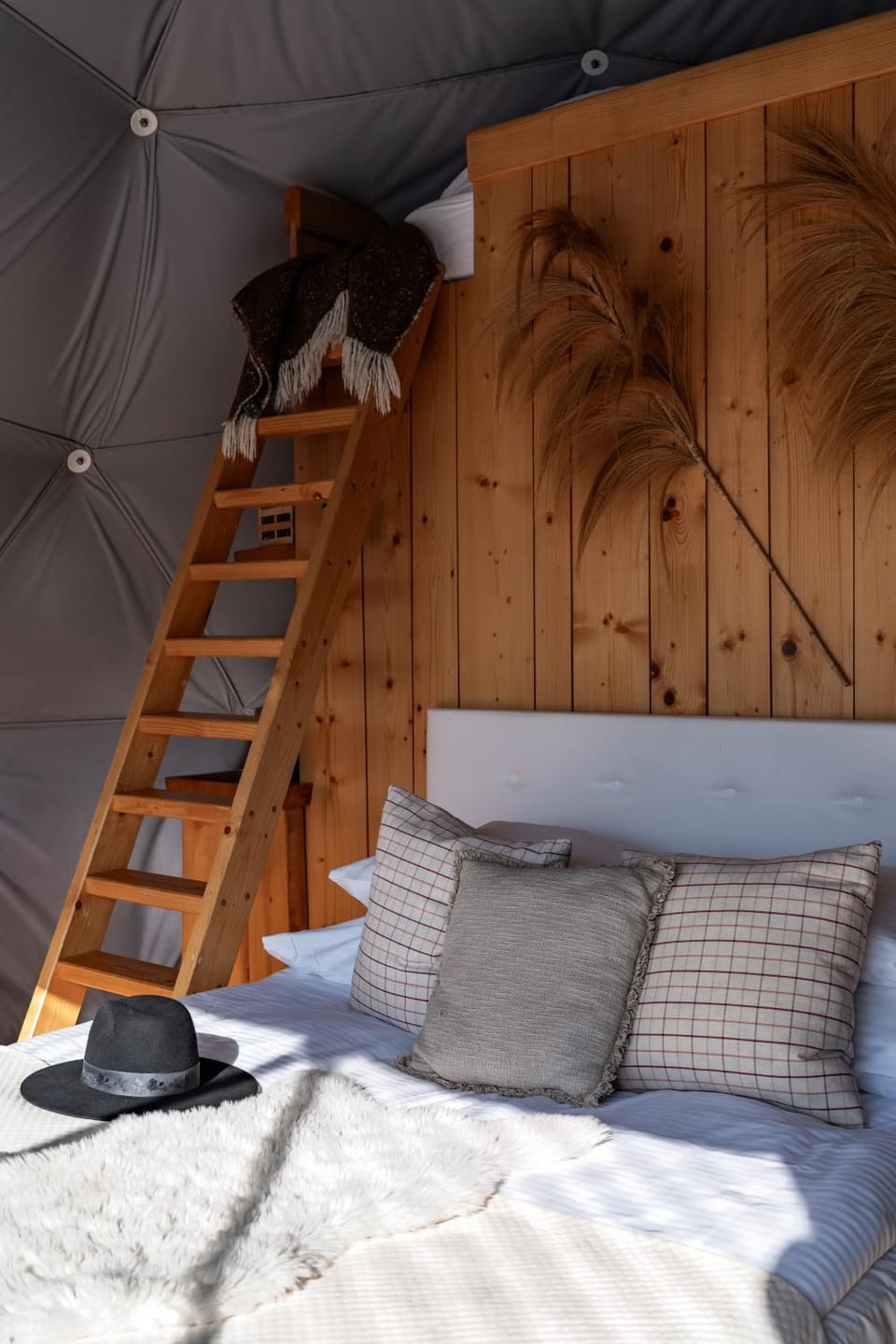 Bed, Photo of the whole room, Bedroom, bunk bed