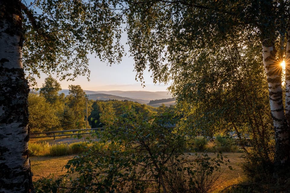 Garden, Garden view