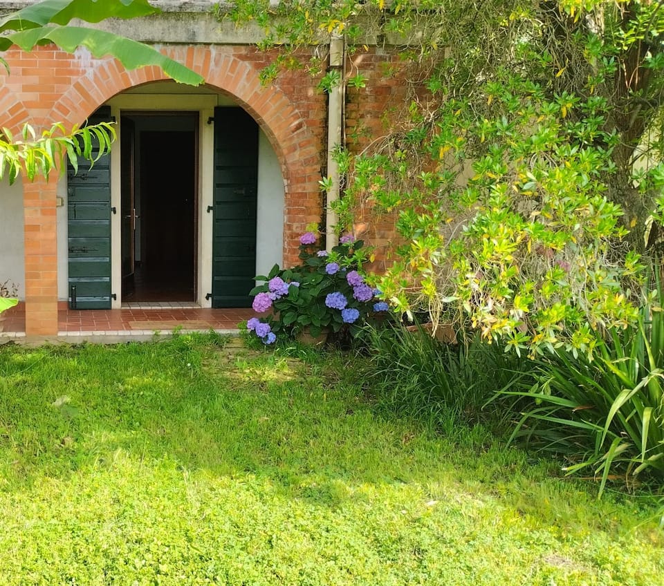 Property building, Day, Garden