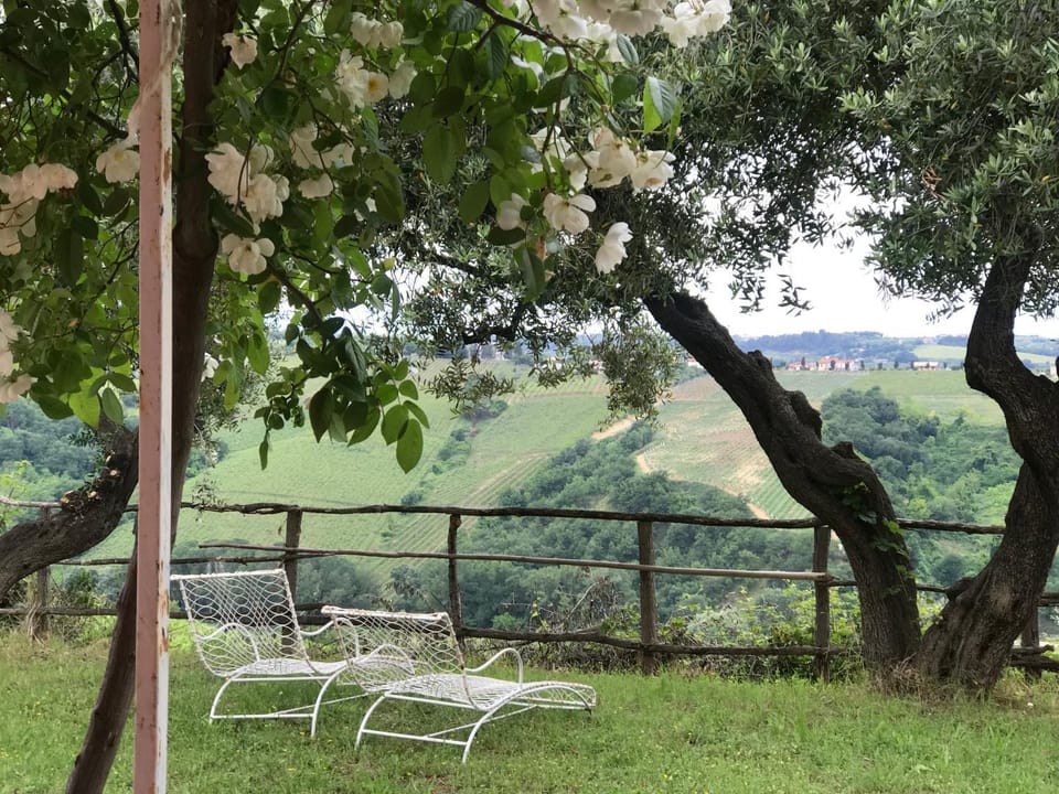 Garden, Garden