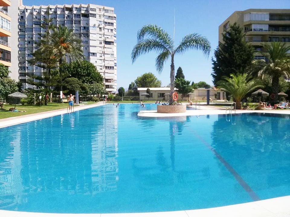 Property building, Garden, Swimming pool, sunbed