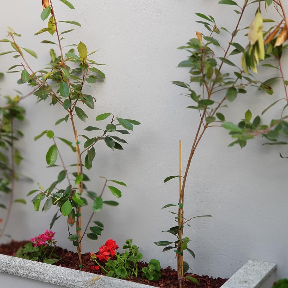 À Francos Metro Apartment in Porto