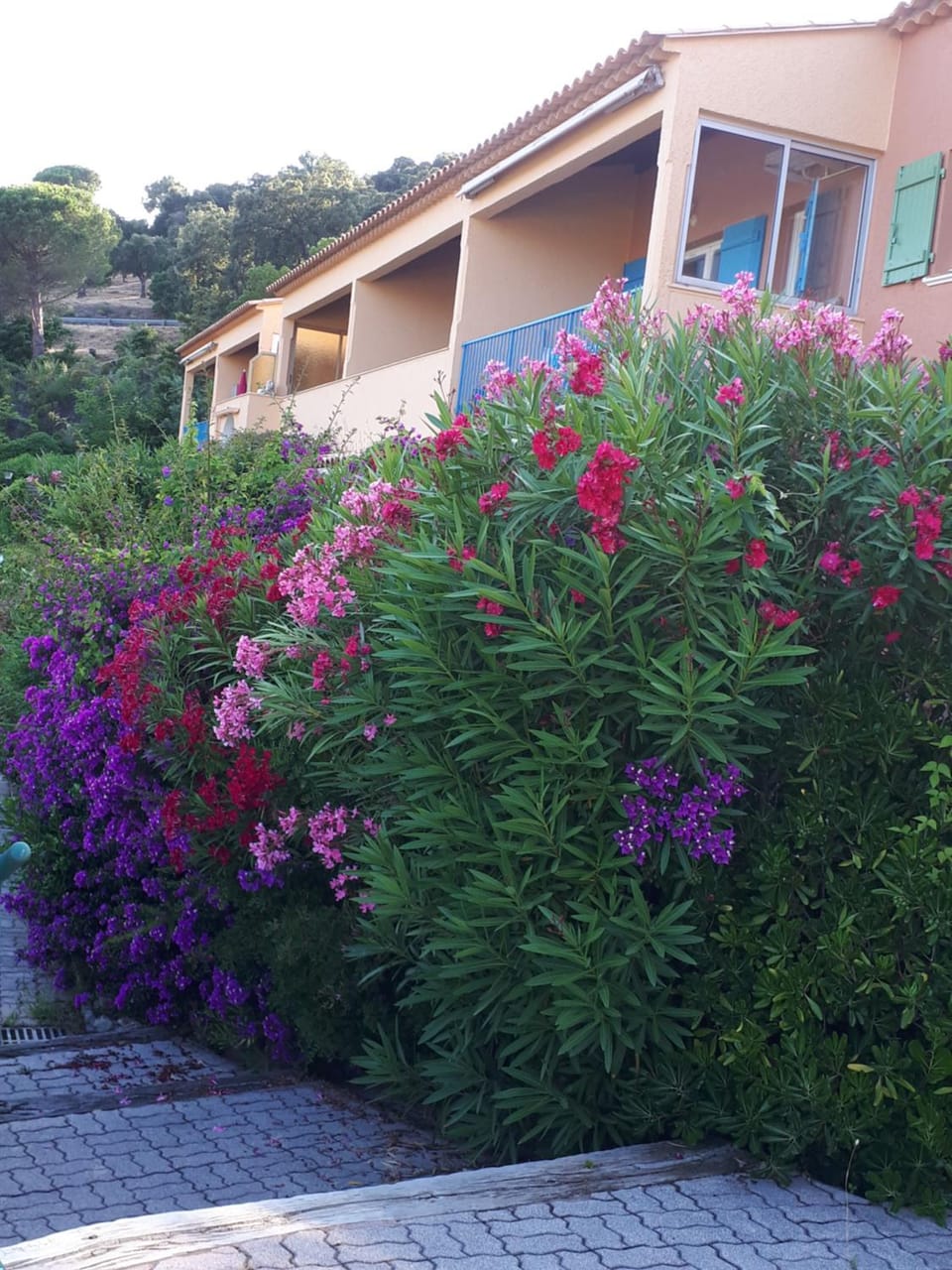 Garden, Garden view