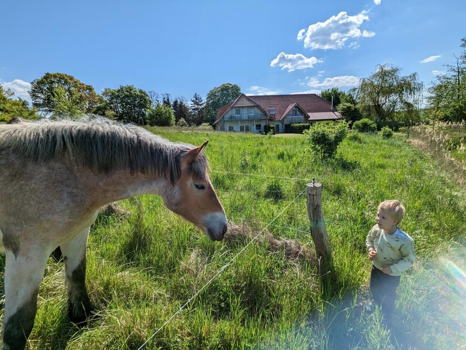 Property building, Neighbourhood, Natural landscape, Animals