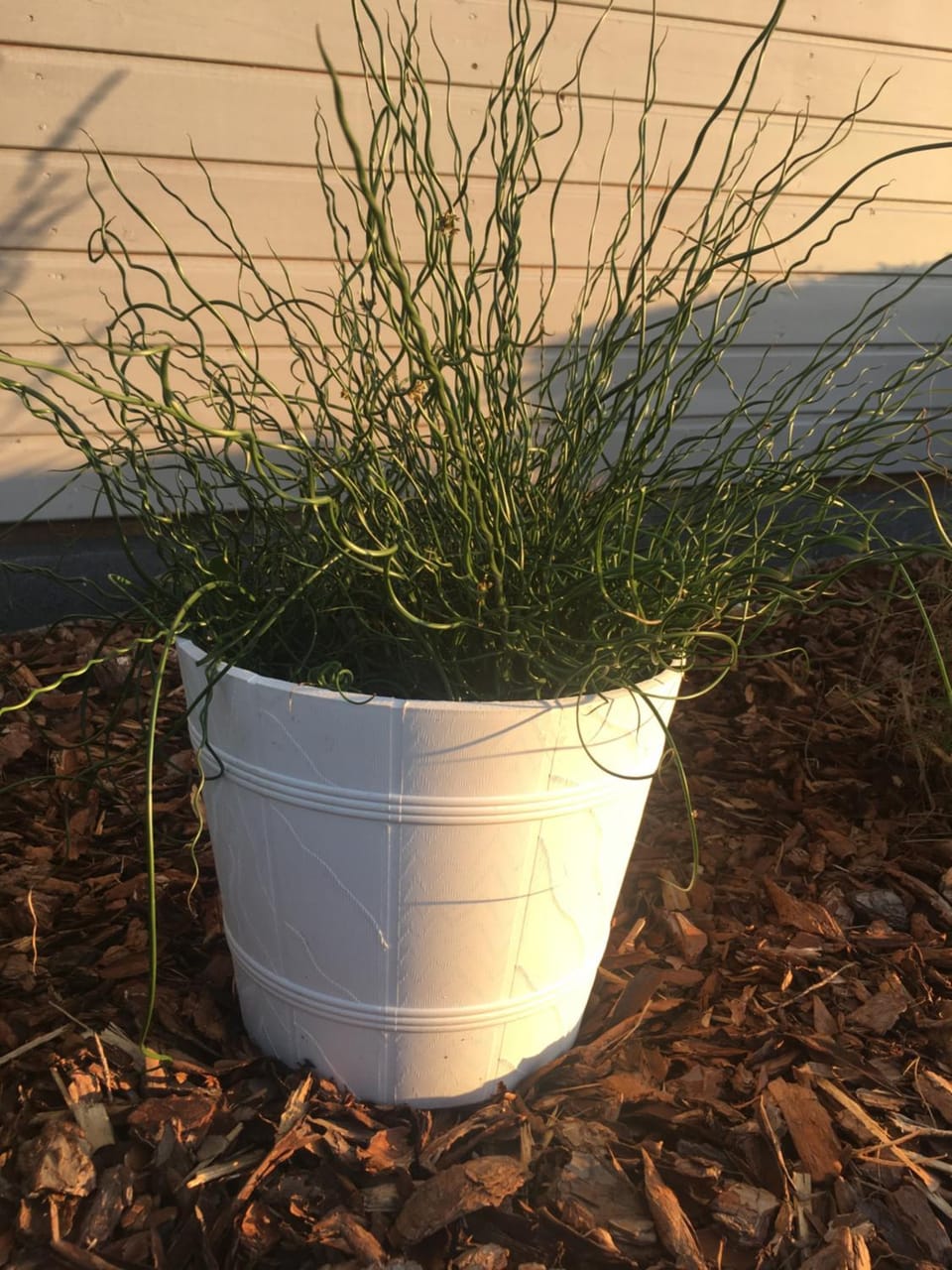 Domki Letniskowe "TROPIK" Nature lodge in Pomeranian Voivodeship