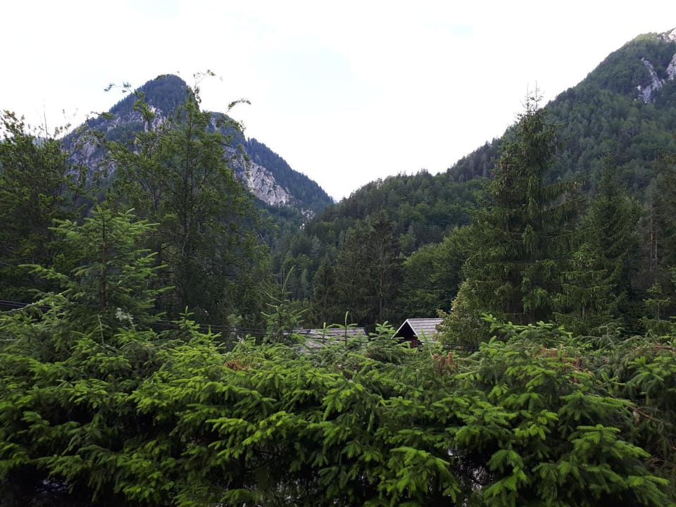 Holiday House Jasna House in Friuli-Venezia Giulia