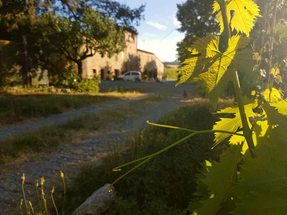 Property building, Neighbourhood, Sunset