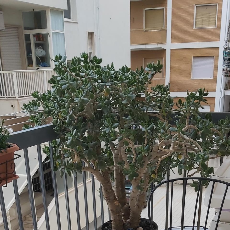 Tilde B&B Bed and Breakfast in Cefalu