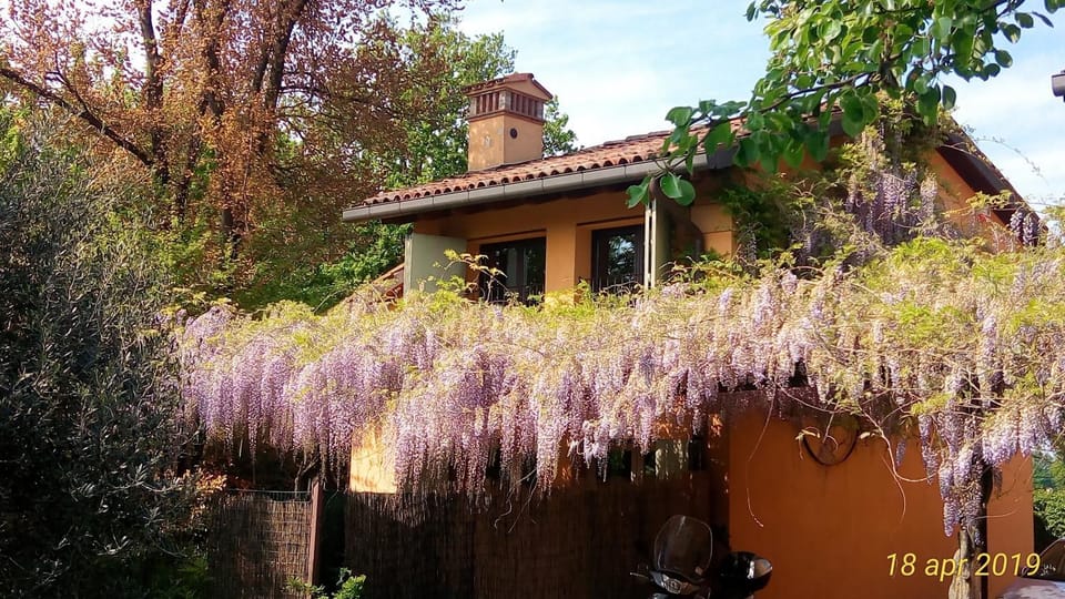 Property building, Spring, Day, Garden