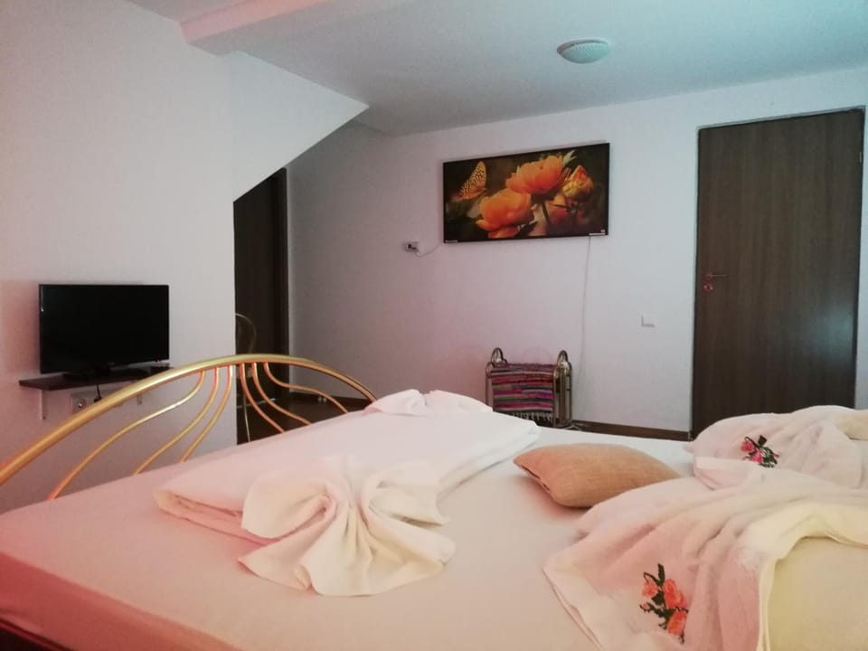 Horia Bed and Breakfast in Romania