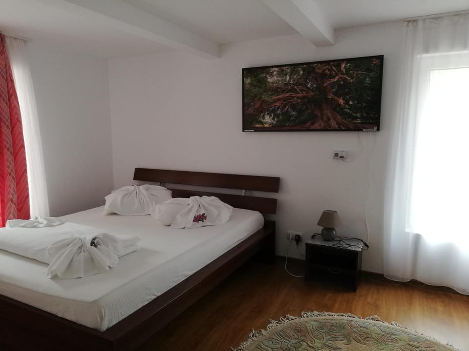 Horia Bed and Breakfast in Romania