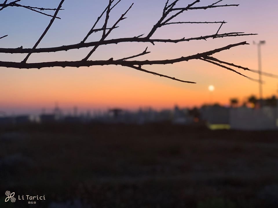 Natural landscape, Sunset