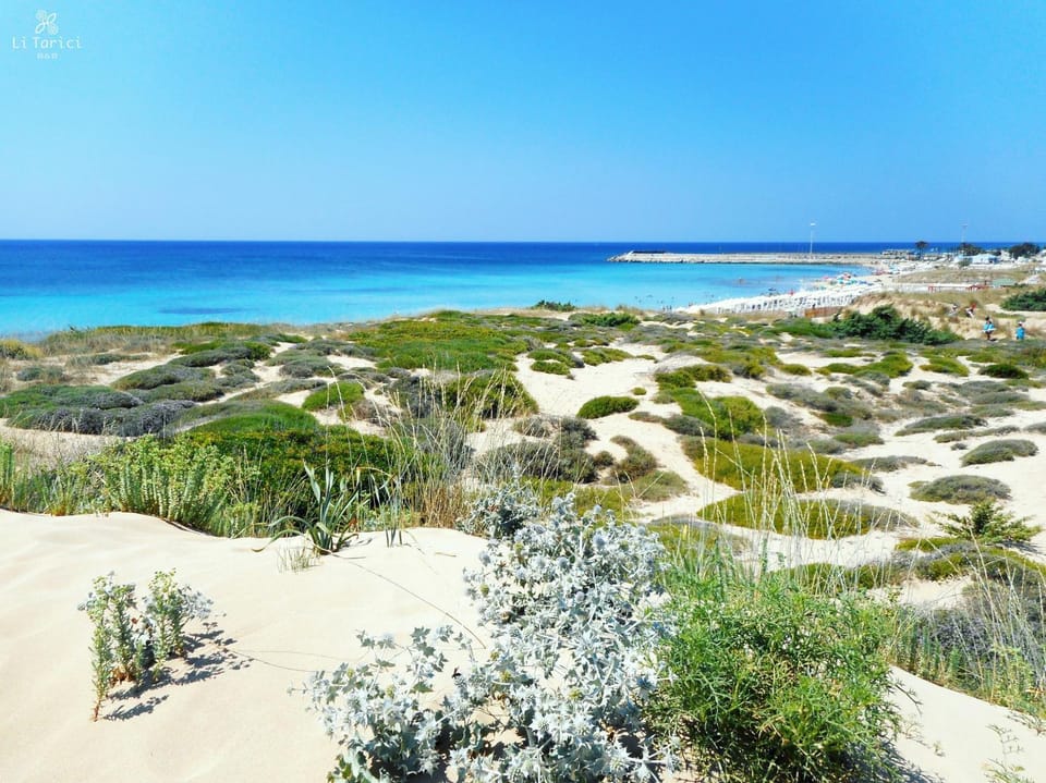 Natural landscape, Sea view