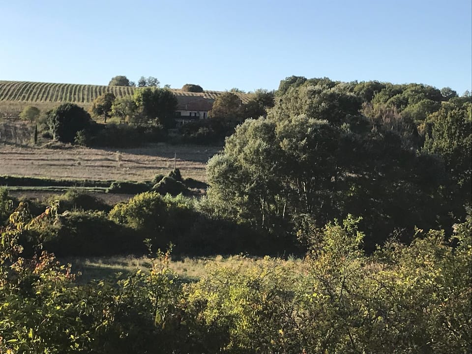 Domaine le Commandaire Apartment in Provence-Alpes-Côte d'Azur