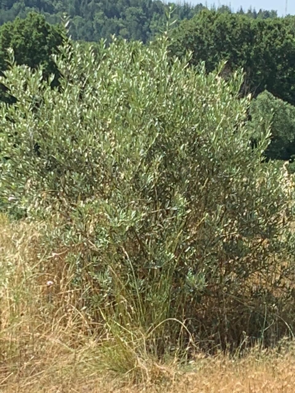 Domaine le Commandaire Apartment in Provence-Alpes-Côte d'Azur