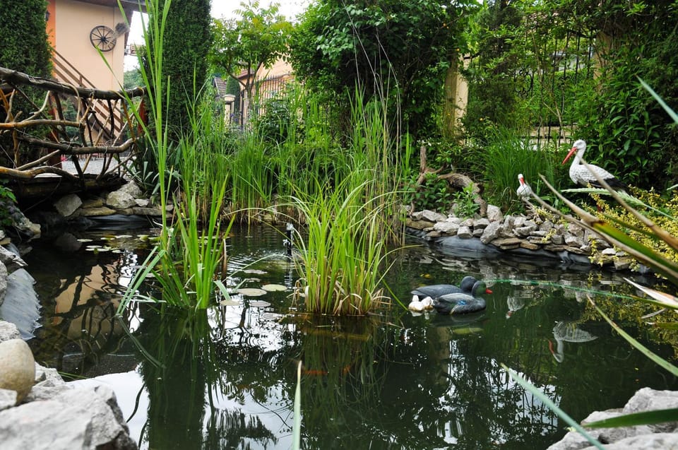 Natural landscape
