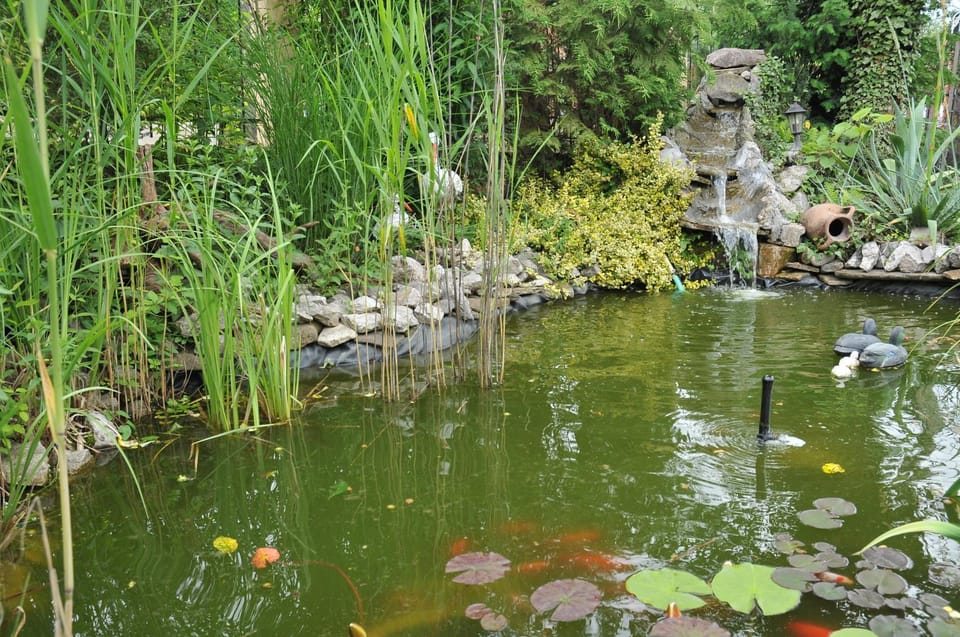Natural landscape