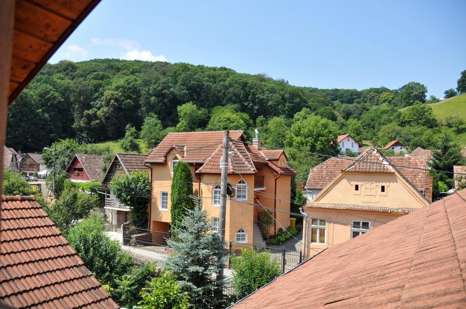 Neighbourhood, Bird's eye view