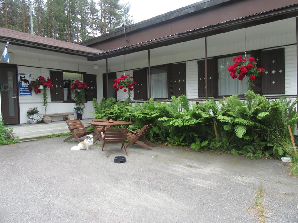 Ruska Bed & Breakfast Bed and Breakfast in Lapland