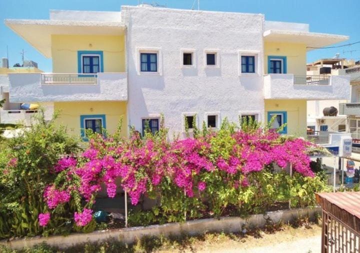 Property building, Spring, Day, Garden, Garden view