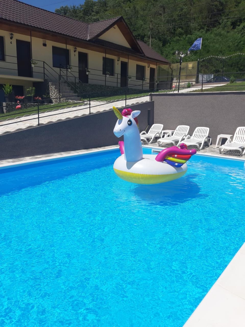 Day, Swimming pool