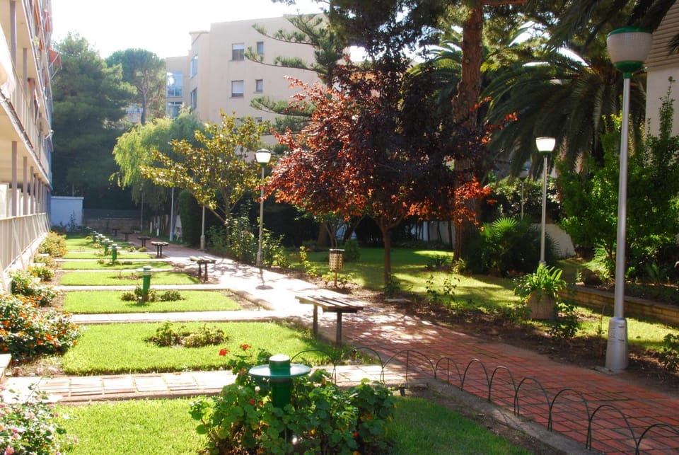 Garden view, Garden view