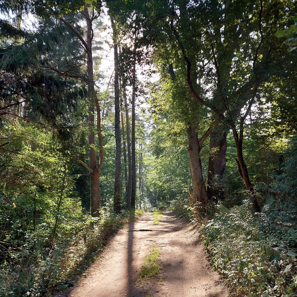 Day, Natural landscape, Garden, Hiking, Cycling
