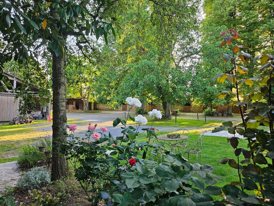 La Tilia Bed and Breakfast in Hauts-de-France
