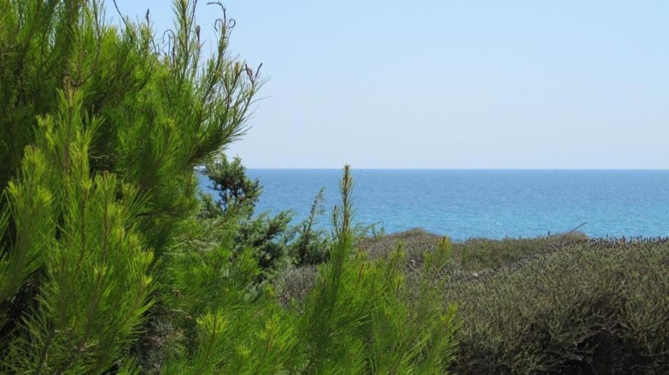 Day, Natural landscape