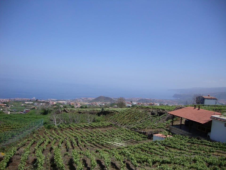 Casitas La Brenda y La Gaga Apartment in Orotava Valley