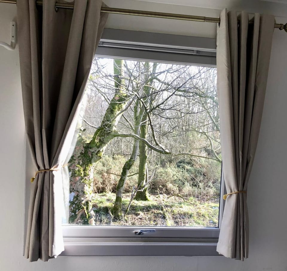 Spring, Day, Natural landscape, Garden, Garden view