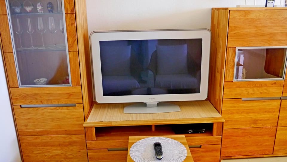 TV and multimedia