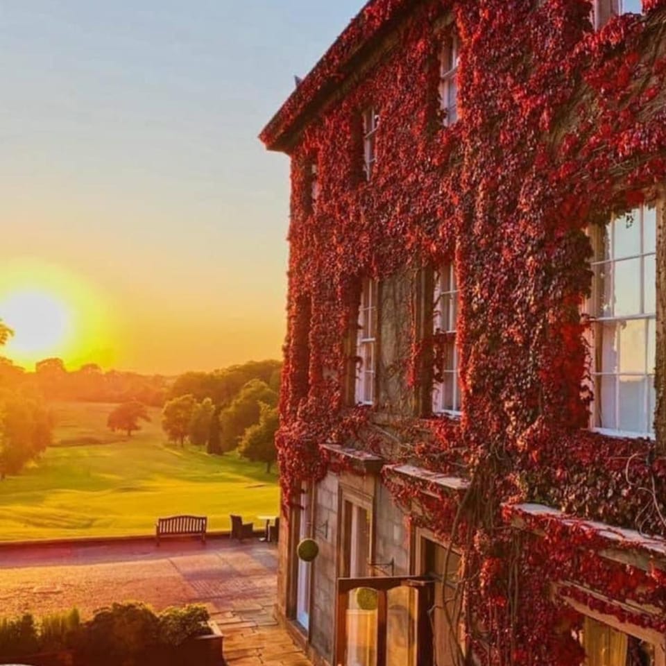Property building, Garden view, Sunset
