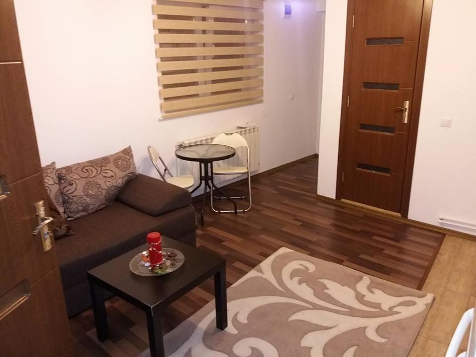Apartament Kaya Velvet Apartment in Sibiu