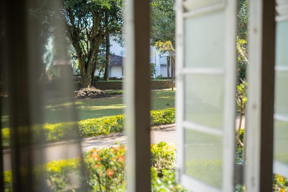 Spring, Day, Garden, Garden view
