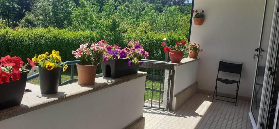 Villa Garden & Pool - Alojamentos House in Porto District