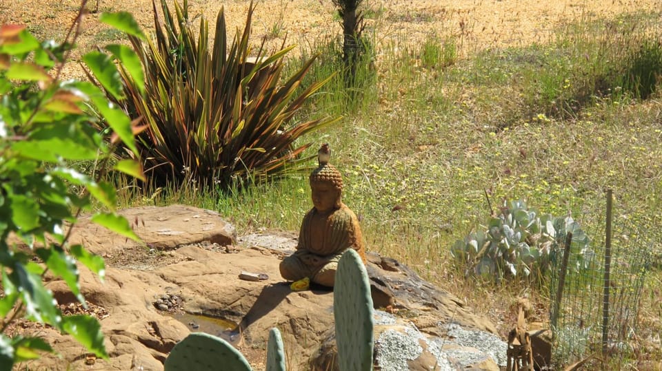 Garden, Garden view
