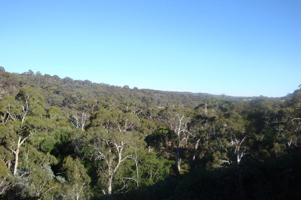 Natural landscape