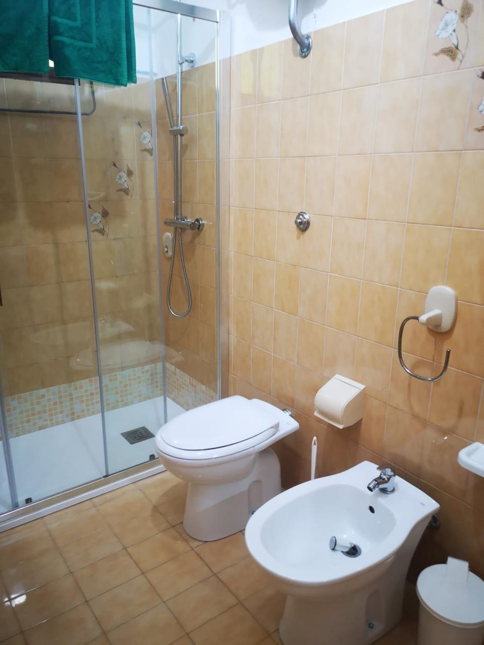 vacanze al Mare appartamento in villa Apartment in Abruzzo