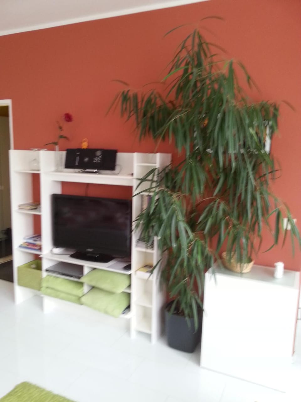 TV and multimedia, Living room, Decorative detail