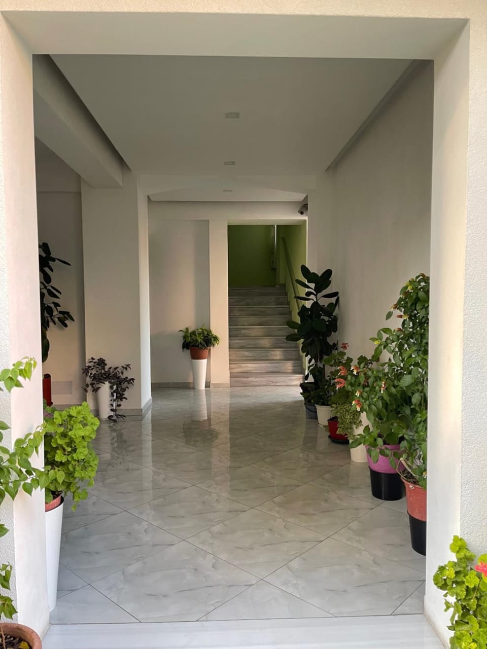 Festim hotel Bed and Breakfast in Tirana County, Albania