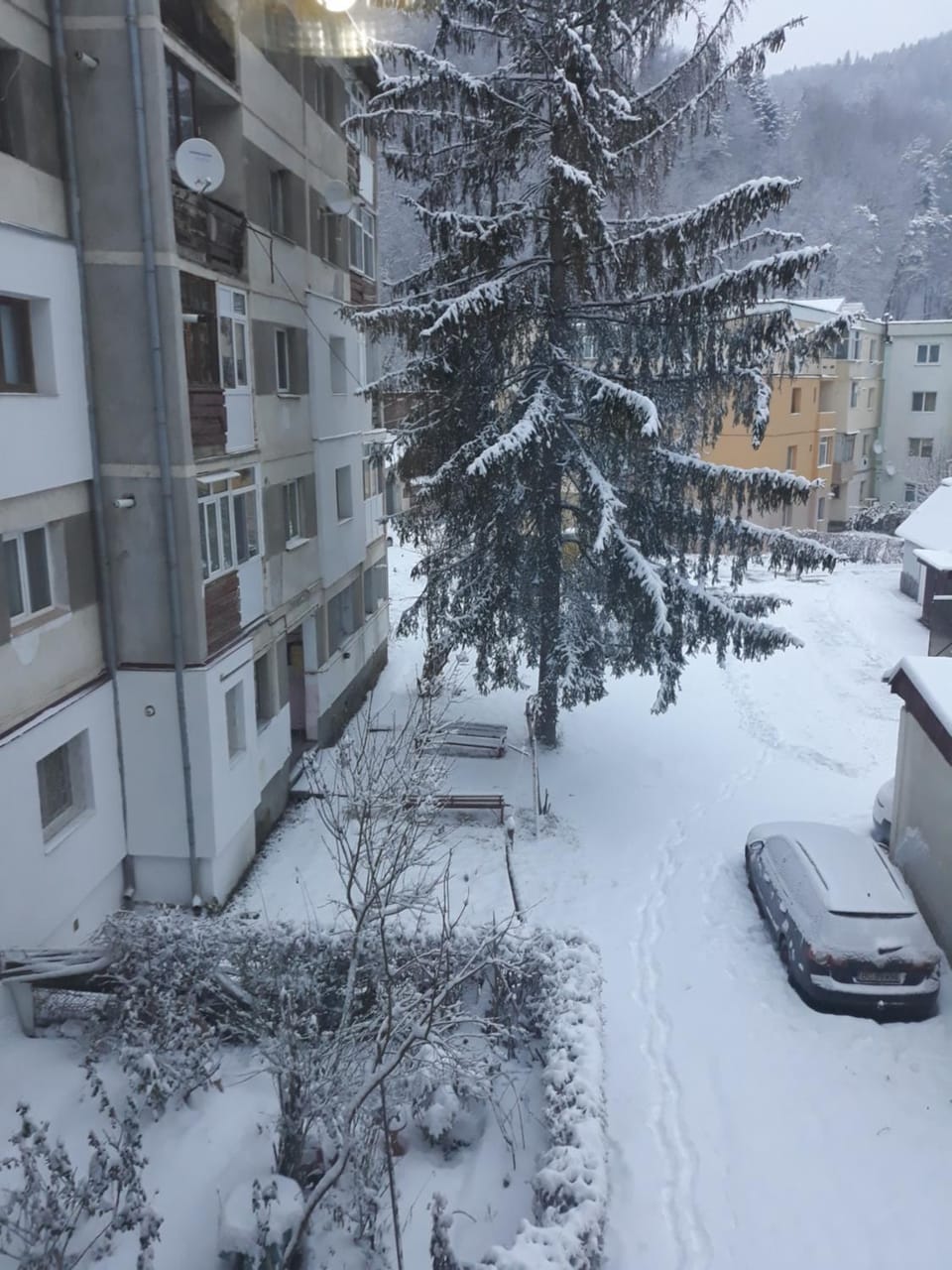 Winter