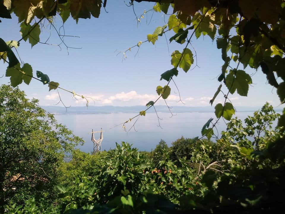 Sea view