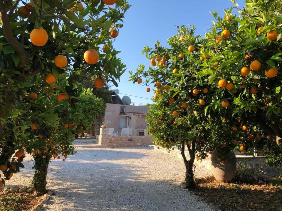 Little House On The Prairie Apartment in Crete Region