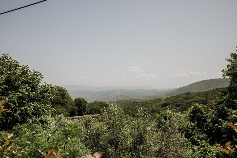 Apartmaji Pajer Apartment in Istria County