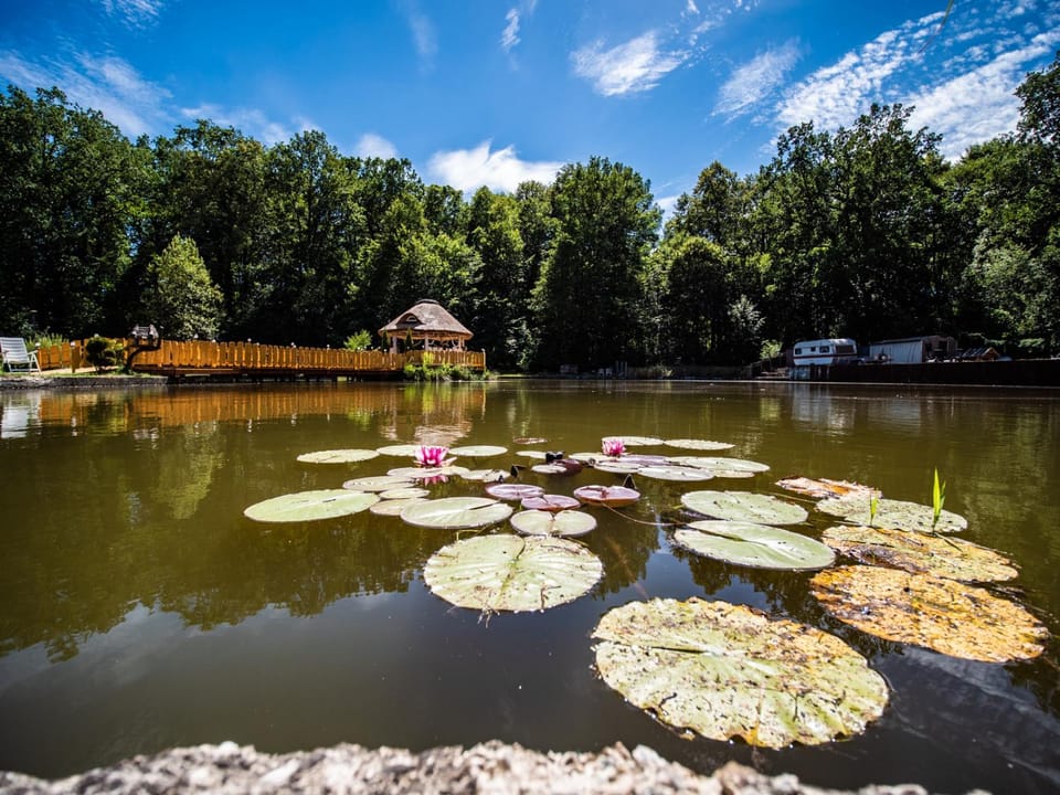 Agromurena Vacation rental in Lower Silesian Voivodeship