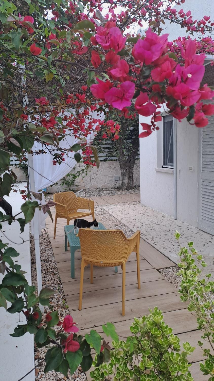 B&B Casrienn House in Province of Foggia