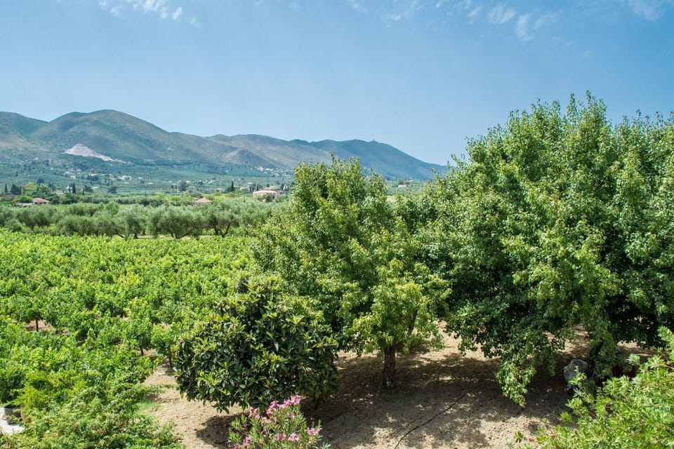 View (from property/room), Balcony/Terrace, Mountain view